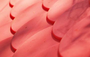 Hollingrove plastic roof costs