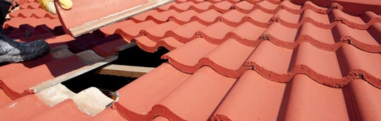 compare Hollingrove roof repair quotes