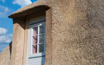 Hollingrove thatch roof disadvantages